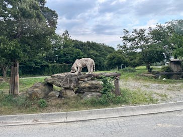 群馬サファリパークに投稿された画像（2025/8/13）