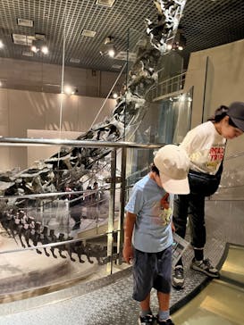 国立科学博物館に投稿された画像（2025/8/13）