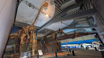 巨大恐竜展2025に投稿された画像（2025/8/13）