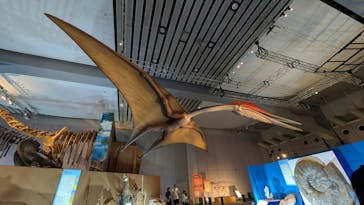 巨大恐竜展2025に投稿された画像（2025/8/13）