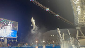 名古屋港水族館に投稿された画像（2025/8/13）