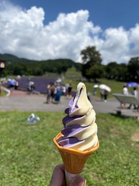 たんばらラベンダーパークに投稿された画像（2025/8/13）