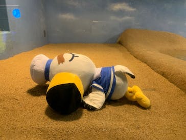 マリンワールド海の中道に投稿された画像（2025/8/13）