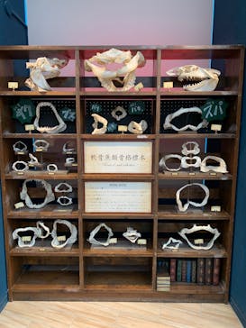 マリンワールド海の中道に投稿された画像（2025/8/13）