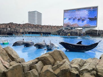 名古屋港水族館に投稿された画像（2025/8/13）