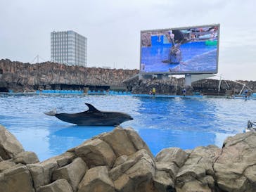 名古屋港水族館に投稿された画像（2025/8/13）