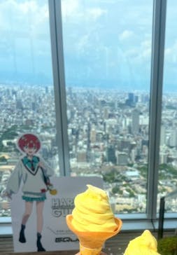 ハルカス300(展望台)に投稿された画像（2025/8/13）