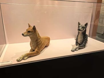 特別展「古代ＤＮＡ－日本人のきた道－」に投稿された画像（2025/8/13）