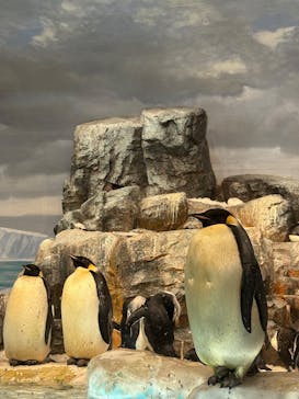 名古屋港水族館に投稿された画像（2025/8/13）