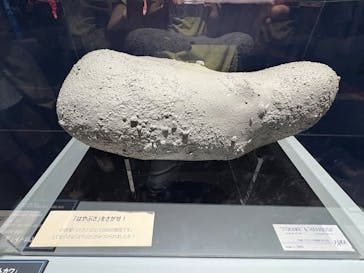 特別展「深宇宙展～人類はどこへ向かうのか」To the Moon and Beyond（日本科学未来館）に投稿された画像（2025/8/13）
