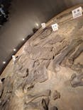 福井県立恐竜博物館に投稿された画像（2025/8/14）