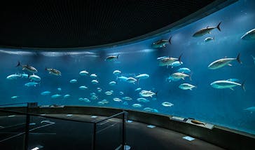 葛西臨海水族園に投稿された画像（2025/8/14）