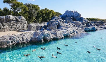 葛西臨海水族園に投稿された画像（2025/8/14）