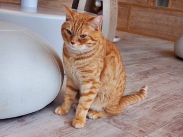 カワスイ 川崎⽔族館に投稿された画像（2025/8/14）