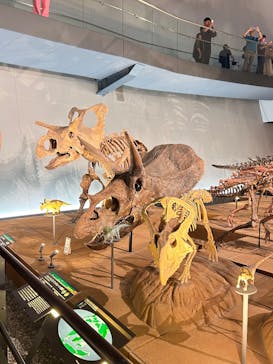 福井県立恐竜博物館に投稿された画像（2025/8/14）