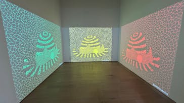 草間彌生　版画の世界―反復と増殖―に投稿された画像（2025/8/14）