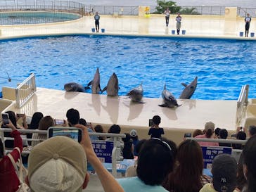 マリンワールド海の中道に投稿された画像（2025/8/14）