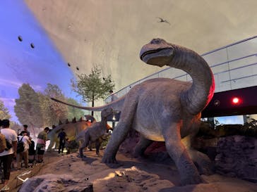 福井県立恐竜博物館に投稿された画像（2025/8/14）