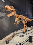 福井県立恐竜博物館に投稿された画像（2025/8/14）