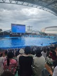 名古屋港水族館に投稿された画像（2025/8/14）