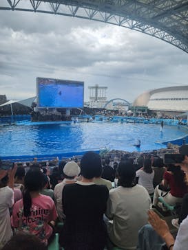 名古屋港水族館に投稿された画像（2025/8/14）