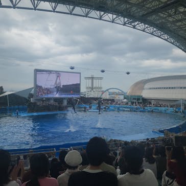名古屋港水族館に投稿された画像（2025/8/14）
