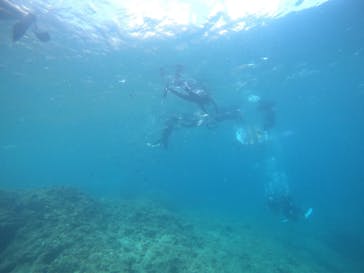 武藤潜水に投稿された画像（2025/8/14）