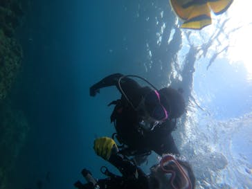 武藤潜水に投稿された画像（2025/8/14）