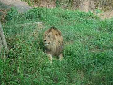 名古屋市東山動植物園に投稿された画像（2025/8/14）