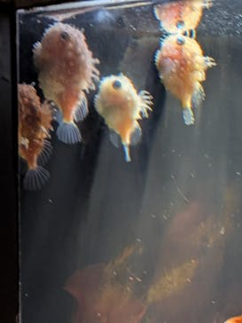 環境水族館アクアマリンふくしまに投稿された画像（2025/8/14）