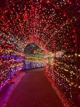 伊豆ぐらんぱる公園に投稿された画像（2025/8/14）