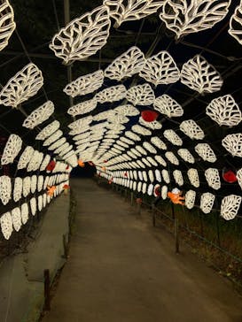 伊豆ぐらんぱる公園に投稿された画像（2025/8/14）