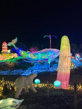 伊豆ぐらんぱる公園に投稿された画像（2025/8/14）