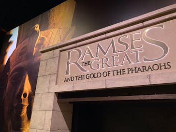 ACN ラムセス大王展 ファラオたちの黄金に投稿された画像（2025/8/14）