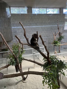 淡路ファームパーク イングランドの丘に投稿された画像（2025/8/14）