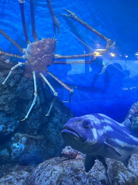 鴨川シーワールドに投稿された画像（2025/8/14）