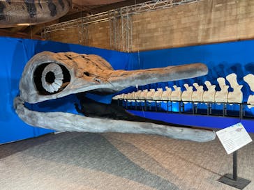 巨大恐竜展2025に投稿された画像（2025/8/14）