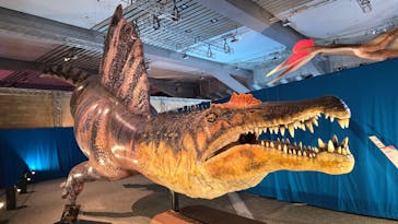 巨大恐竜展2025に投稿された画像（2025/8/14）