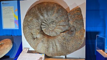 巨大恐竜展2025に投稿された画像（2025/8/14）