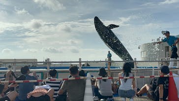 沖縄美ら海水族館に投稿された画像（2025/8/14）