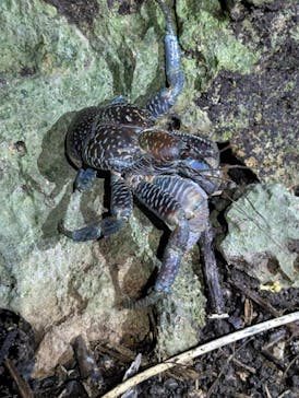 宮古島マリン SUGAR3（シュガースリー）に投稿された画像（2025/8/14）