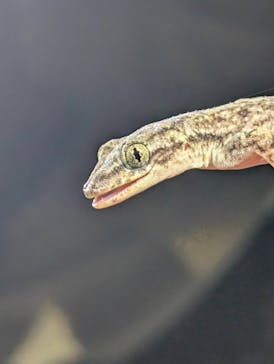 宮古島マリン SUGAR3（シュガースリー）に投稿された画像（2025/8/14）