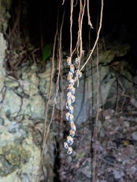 宮古島マリン SUGAR3（シュガースリー）に投稿された画像（2025/8/14）