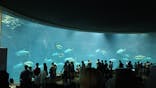 葛西臨海水族園に投稿された画像（2025/8/14）