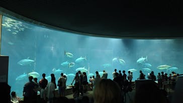葛西臨海水族園に投稿された画像（2025/8/14）