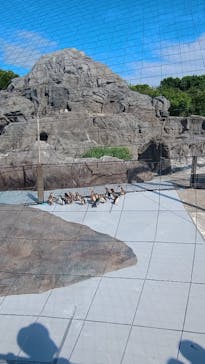 葛西臨海水族園に投稿された画像（2025/8/14）