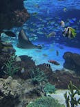 サンシャイン水族館に投稿された画像（2025/8/14）