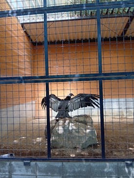 那須どうぶつ王国に投稿された画像（2025/8/14）