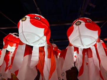 錦鯉・金魚アクアリウム in ときメッセに投稿された画像（2025/8/14）