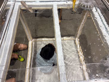 錦鯉・金魚アクアリウム in ときメッセに投稿された画像（2025/8/14）